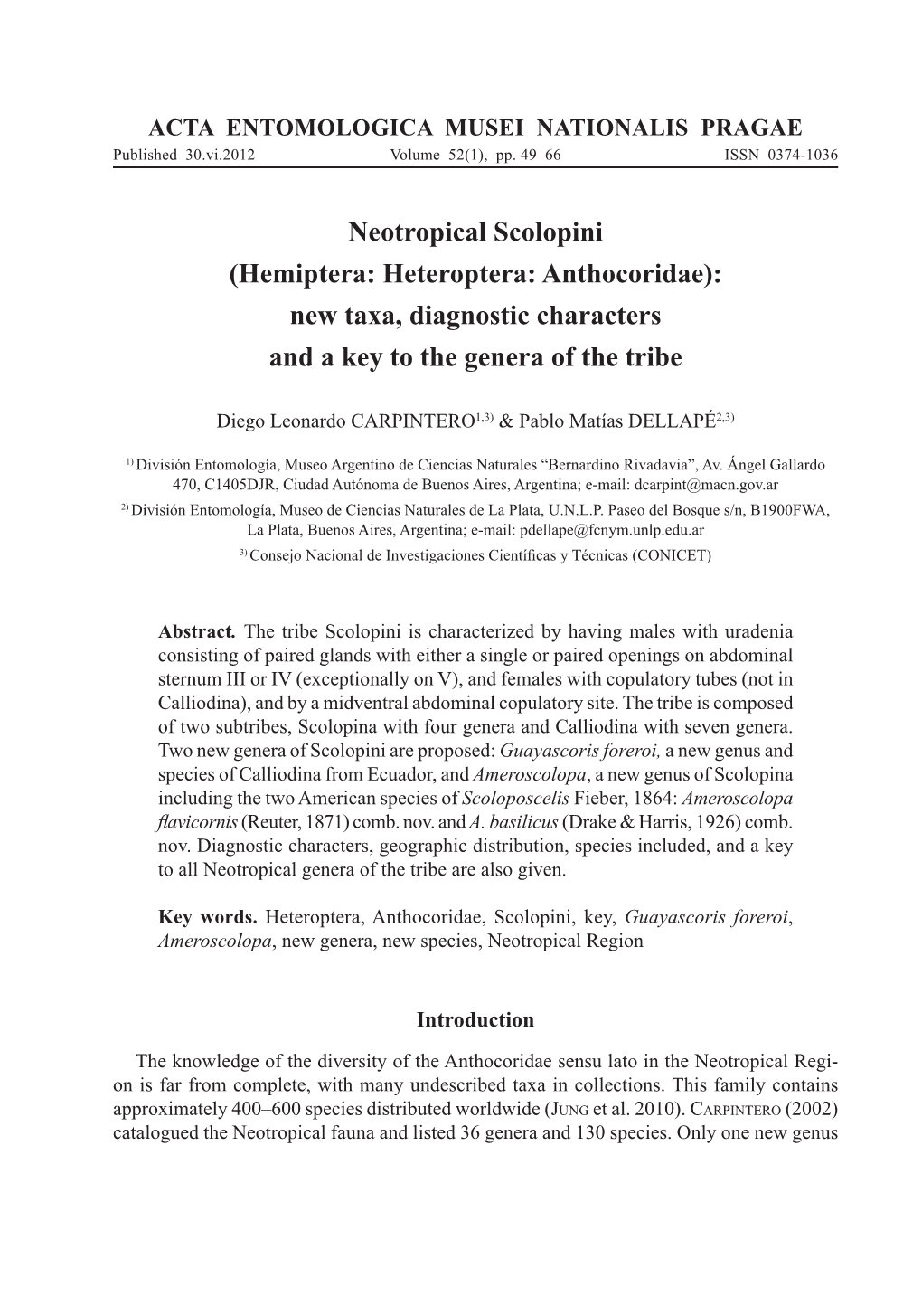 Neotropical Scolopini (Hemiptera: Heteroptera: Anthocoridae): New Taxa, Diagnostic Characters and a Key to the Genera of the Tribe