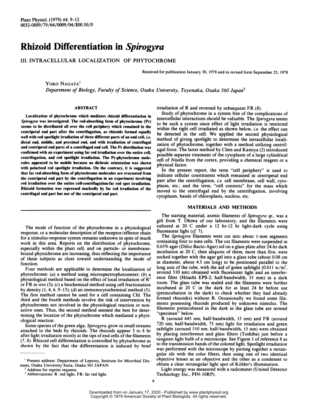 Rhizoid Differentiation in Spirogyra III
