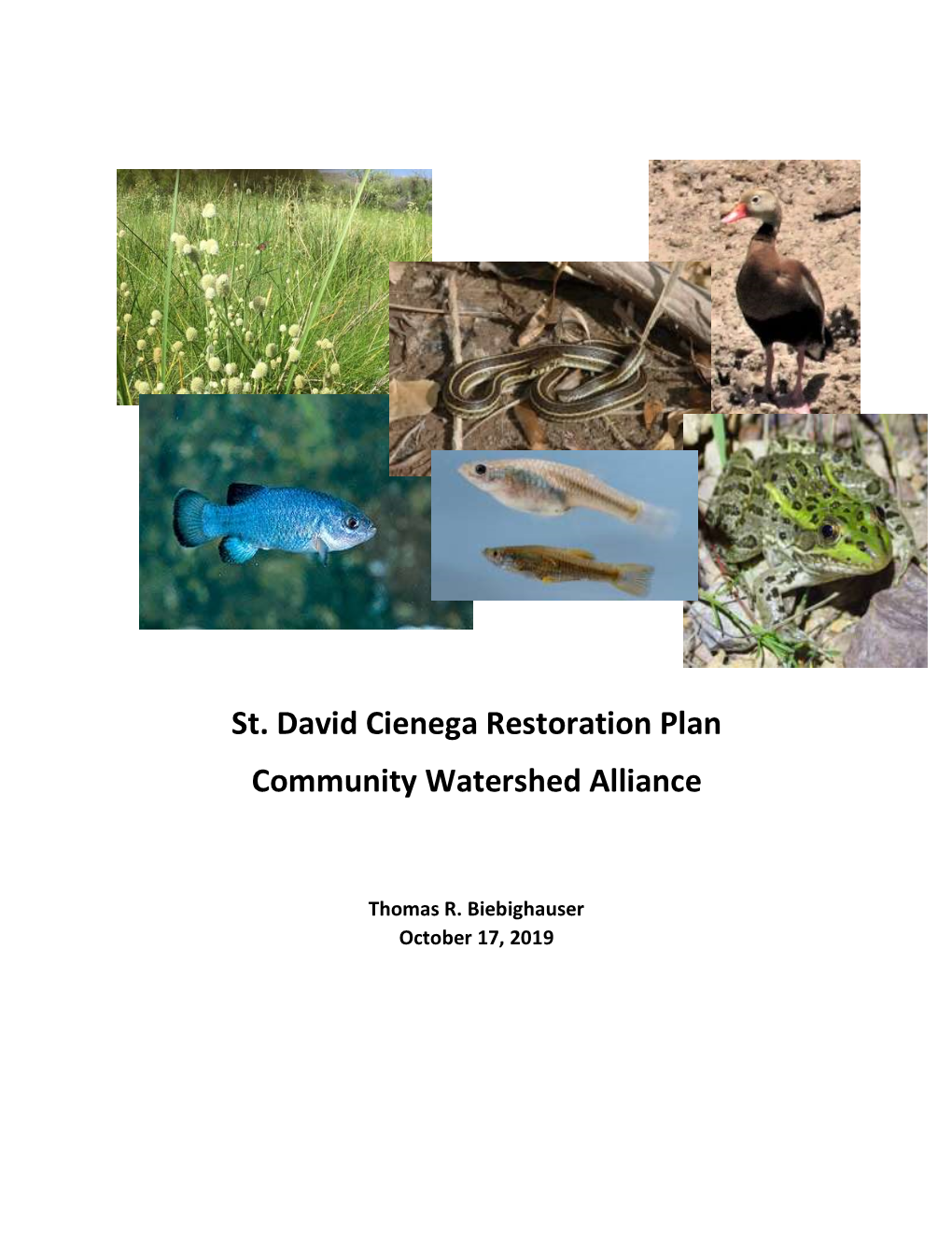 St. David Cienega Restoration Plan Community Watershed Alliance
