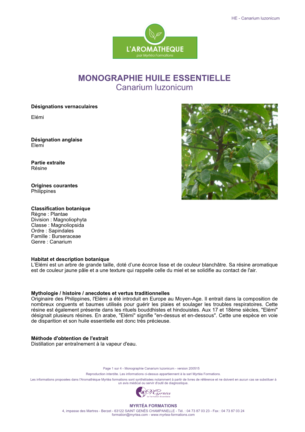 MONOGRAPHIE HUILE ESSENTIELLE Canarium Luzonicum