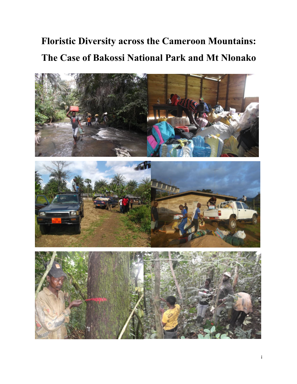 Floristic Diversity Across the Cameroon Mountains: the Case of Bakossi National Park and Mt Nlonako