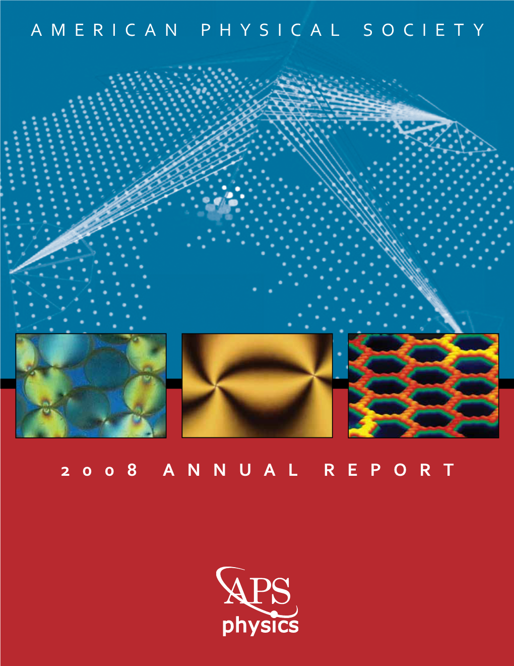 2008 Annual Report