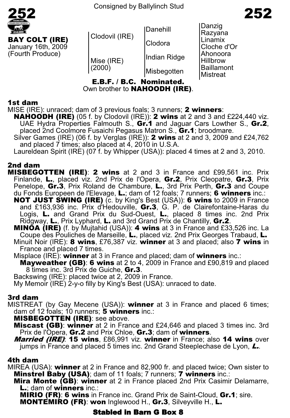 Consigned by Ballylinch Stud Danehill Danzig Razyana Clodovil