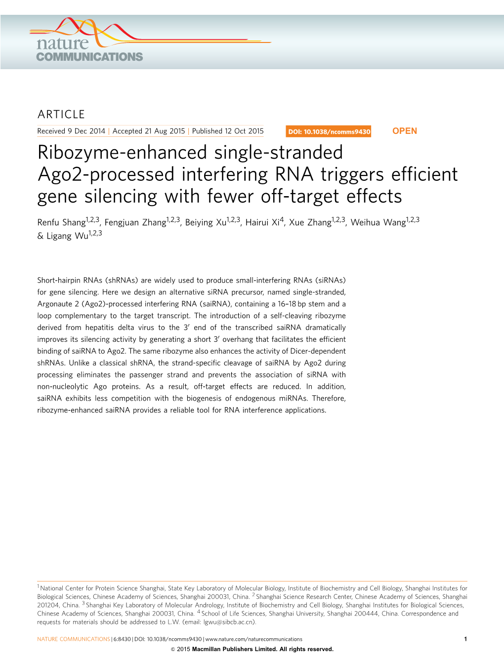 Ribozyme-Enhanced Single-Stranded Ago2-Processed Interfering RNA Triggers Efﬁcient Gene Silencing with Fewer Off-Target Effects