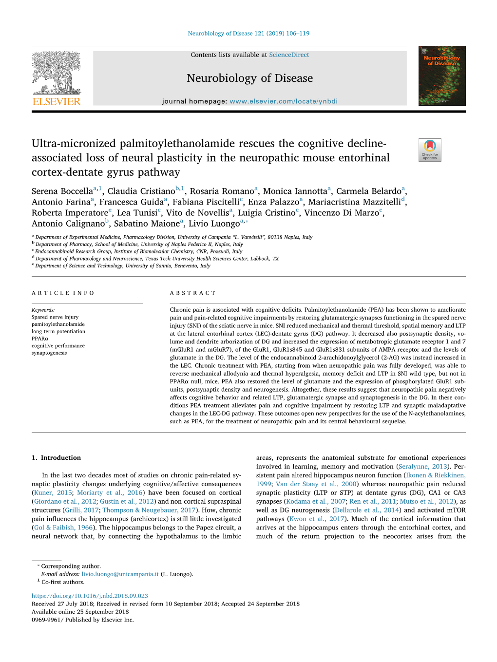 Ultra-Micronized Palmitoylethanolamide Rescues The