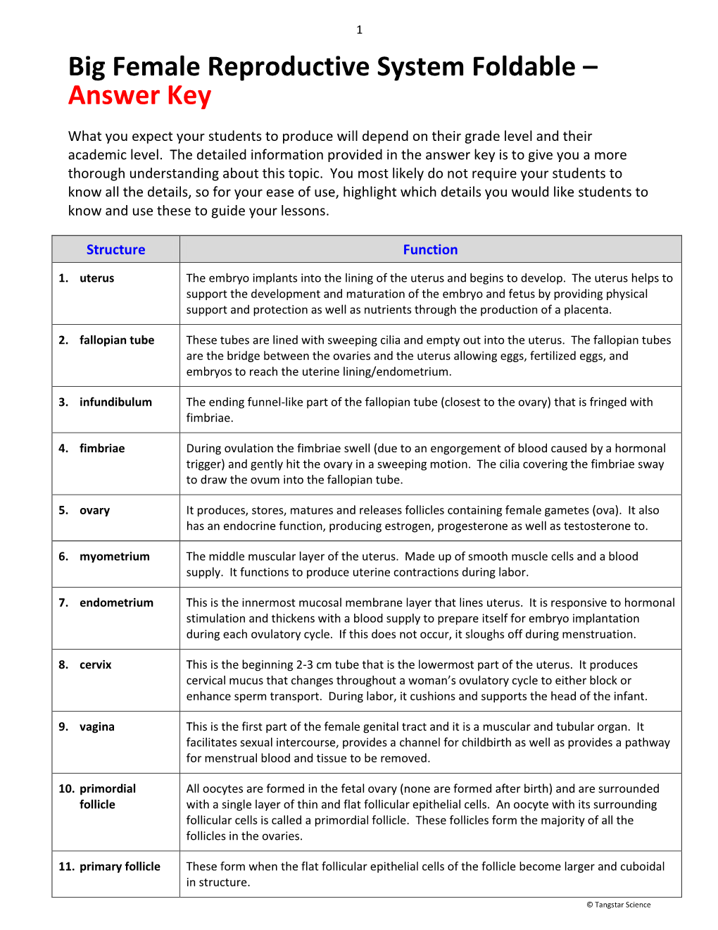 Big Female Reproductive System Foldable – Answer Key