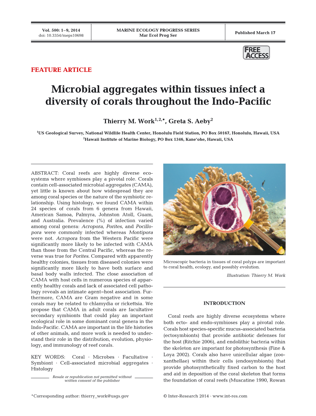 Microbial Aggregates Within Tissues Infect a Diversity of Corals Throughout the Indo-Pacific