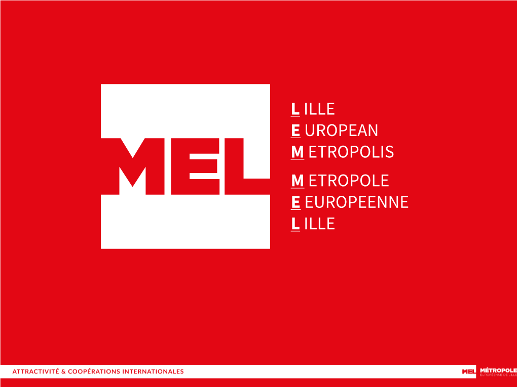 Lille European Metropolis Key Datas - Within the French Environnement