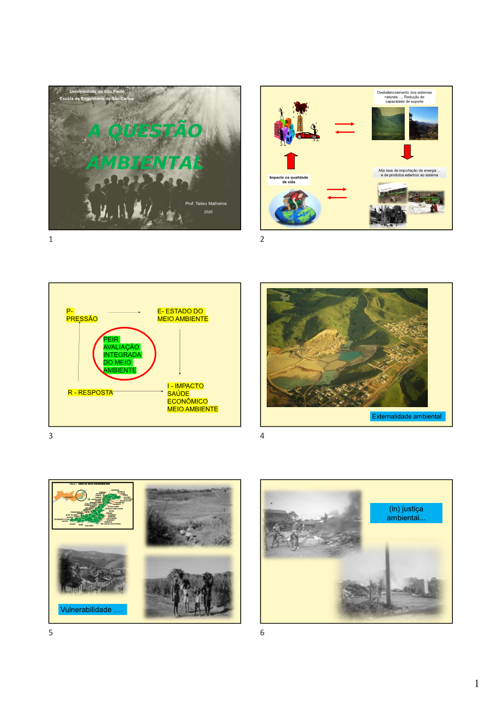 A Questão Ambiental