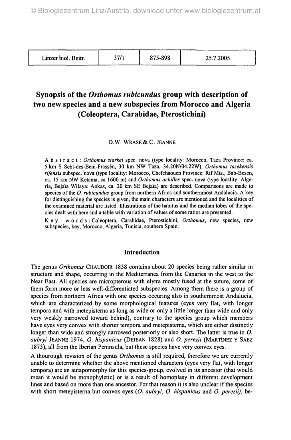 Synopsis of the Orthomus Rubicundus Group with Description of Two New Species and a New Subspecies from Morocco and Algeria (Coleoptera, Carabidae, Pterostichini)