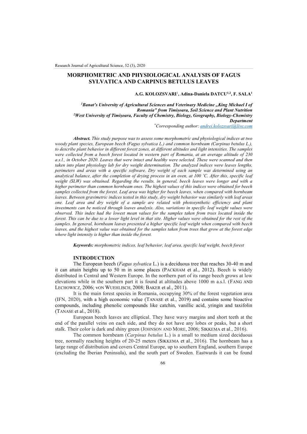 Morphometric and Physiological Analysis of Fagus Sylvatica and Carpinus Betulus Leaves