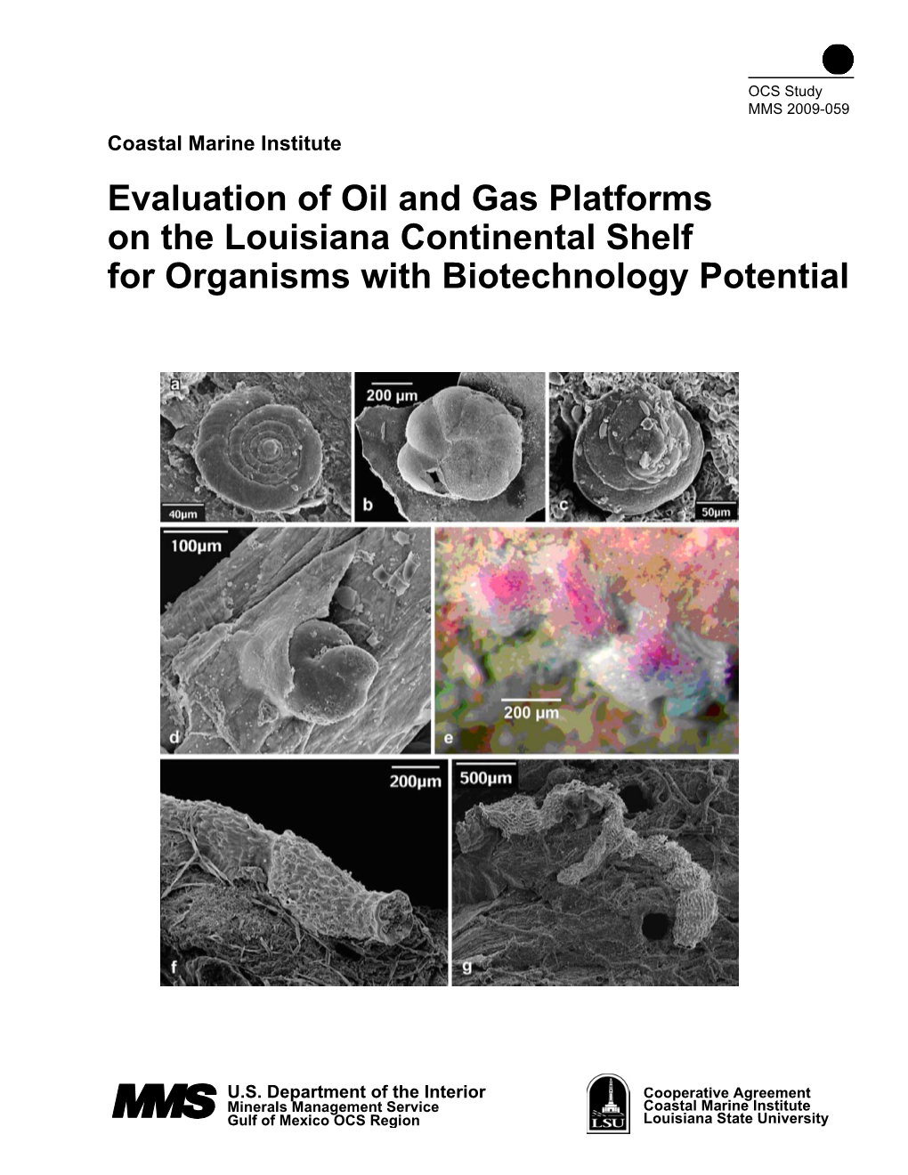 Evaluation of Oil and Gas Platforms on the Louisiana Continental Shelf for Organisms with Biotechnology Potential