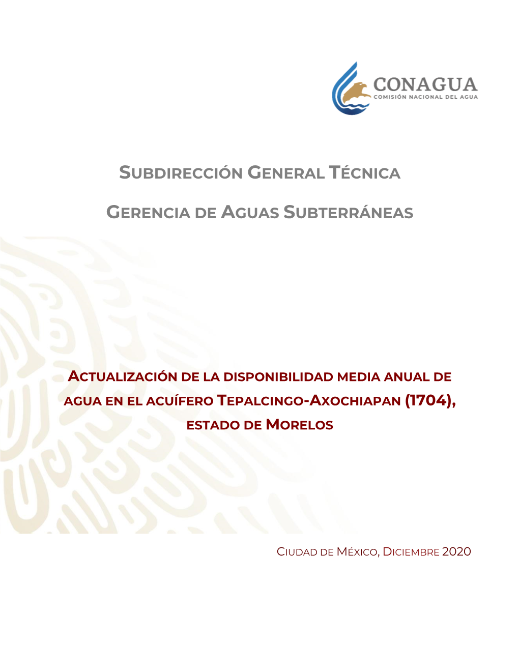 Actualización De La Disponibilidad Media Anual De Agua En El Acuífero Tepalcingo-Axochiapan (1704), Estado De Morelos