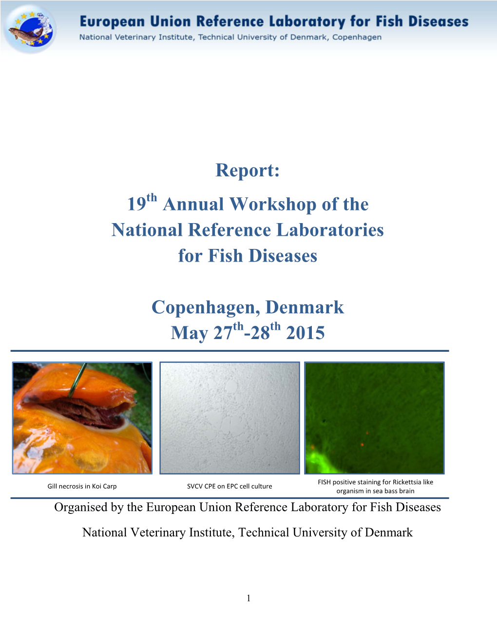 Report: 19Th Annual Workshop of the National Reference Laboratories for Fish Diseases