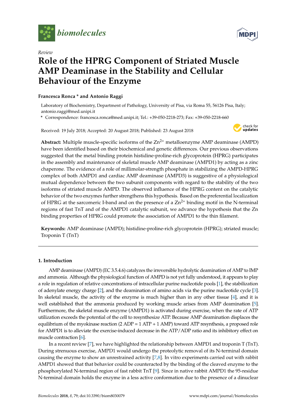 Role of the HPRG Component of Striated Muscle AMP Deaminase in the Stability and Cellular Behaviour of the Enzyme