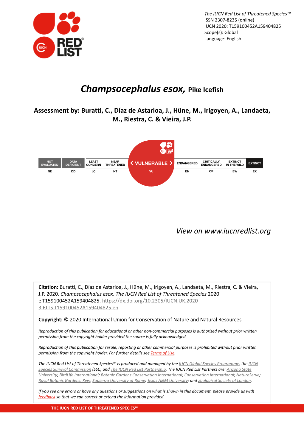 Champsocephalus Esox, Pike Icefish