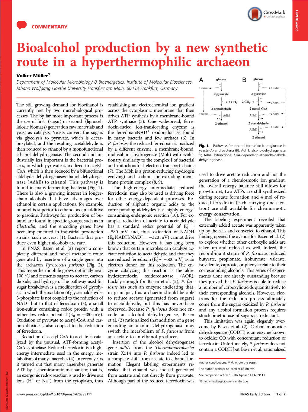 Bioalcohol Production by a New Synthetic Route in a Hyperthermophilic Archaeon