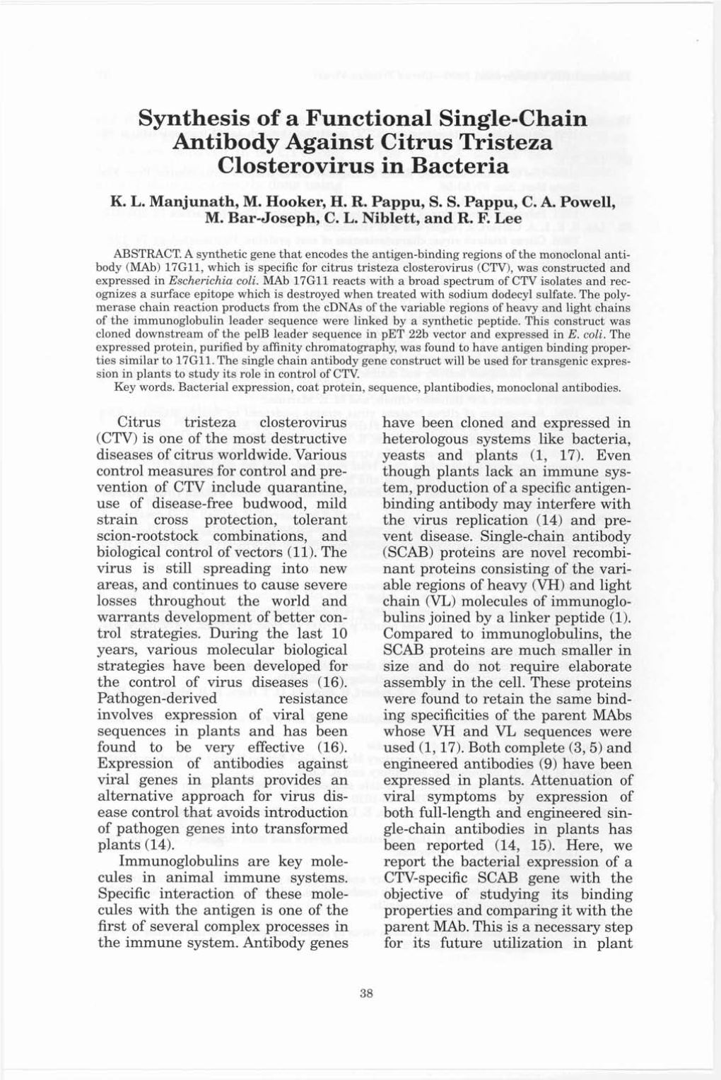 Synthesis of a Functional Single-Chain Antibody Against Citrus Tristeza Closterovirus in Bacteria K