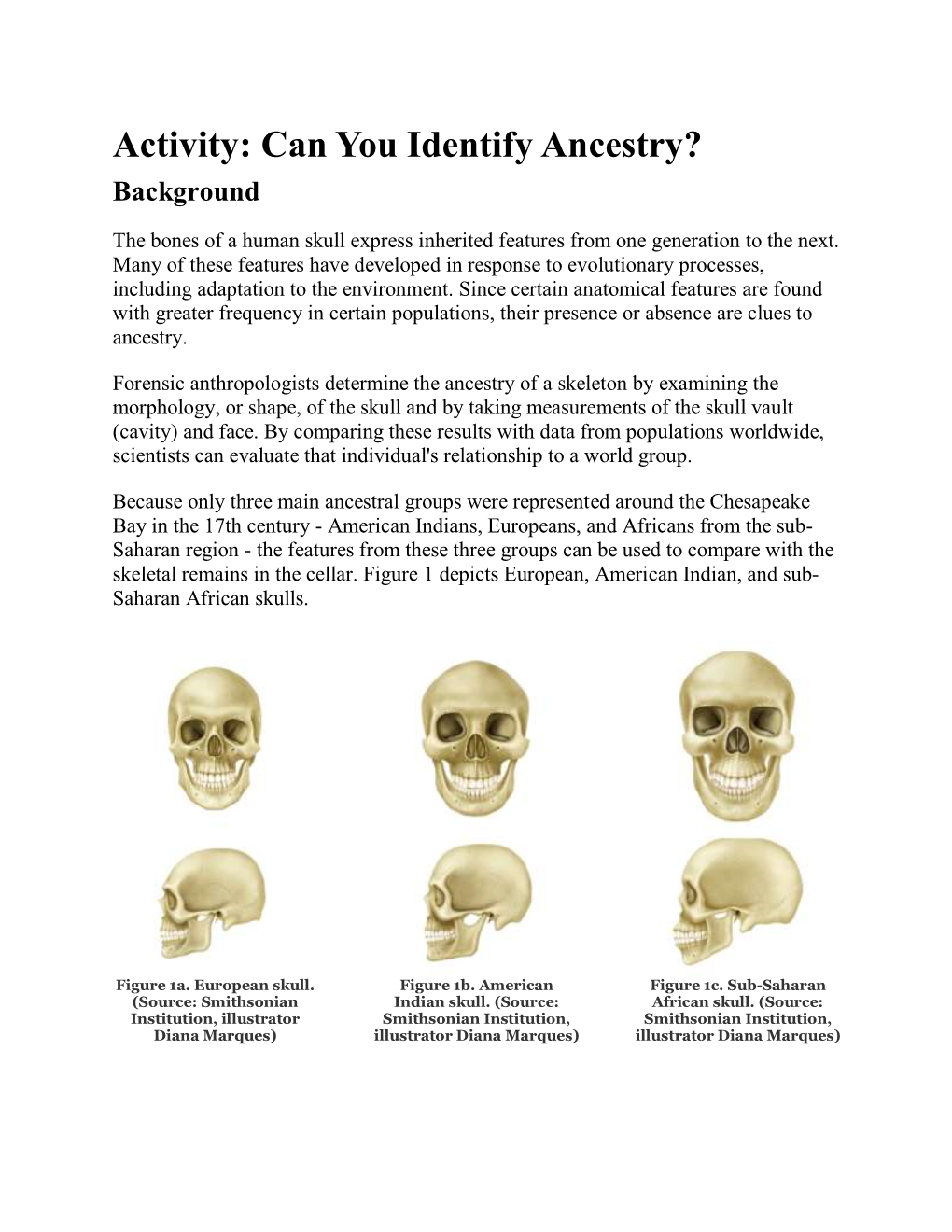 WIB Identify Ancestry from Skull