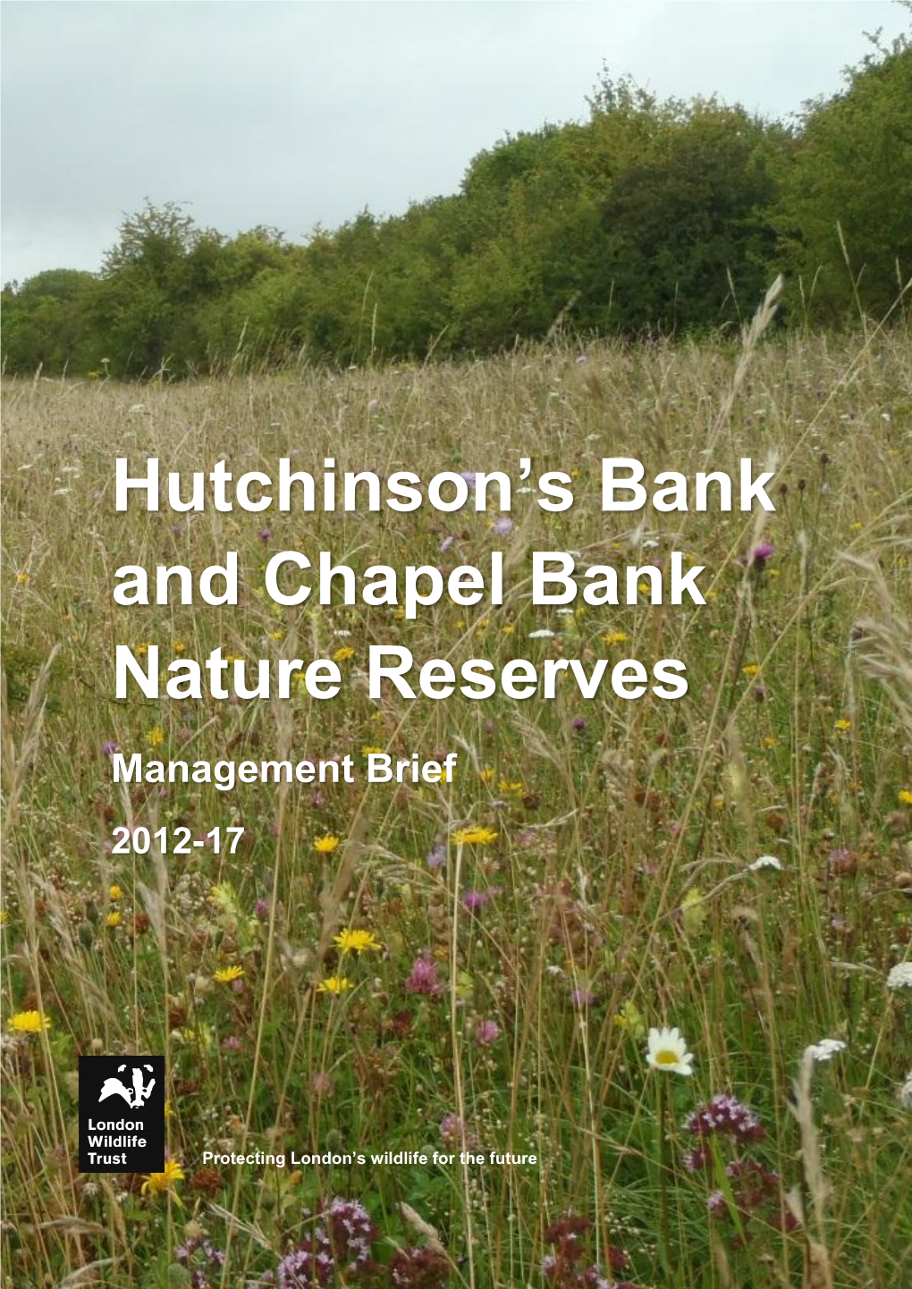 Hutchinson's Bank and Chapel Bank Nature Reserves Management Brief