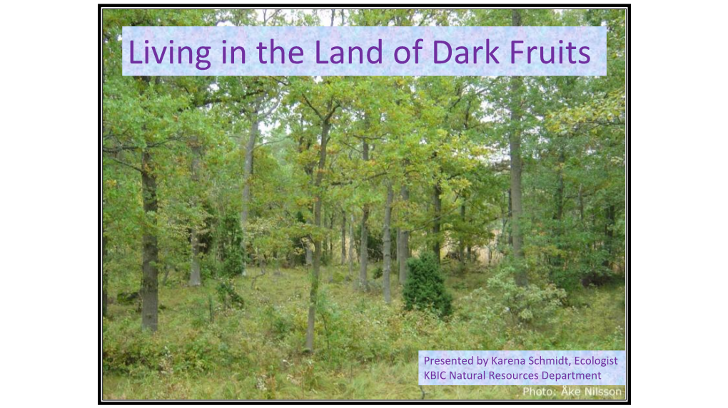 Living in the Land of Dark Fruits