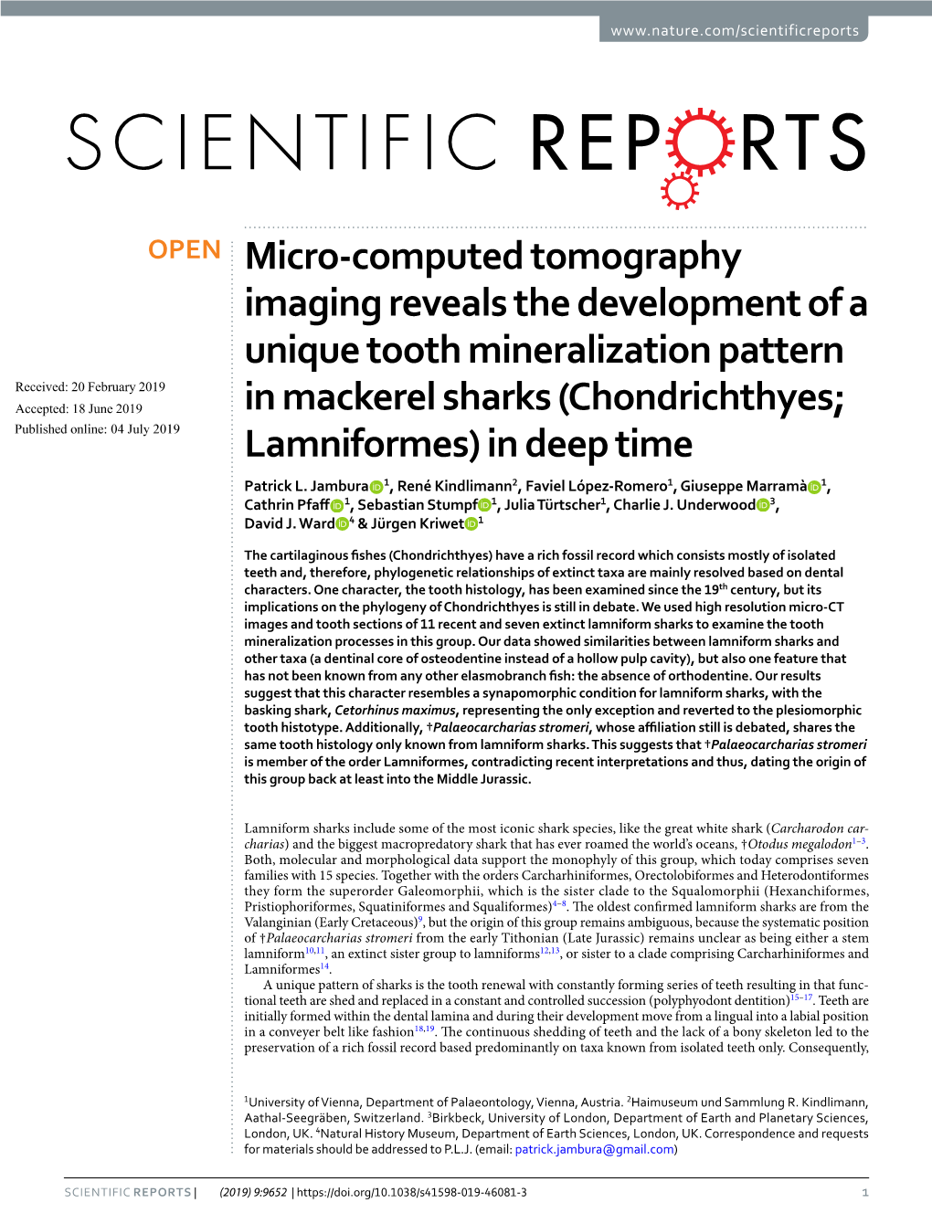 Micro-Computed Tomography Imaging Reveals the Development of A