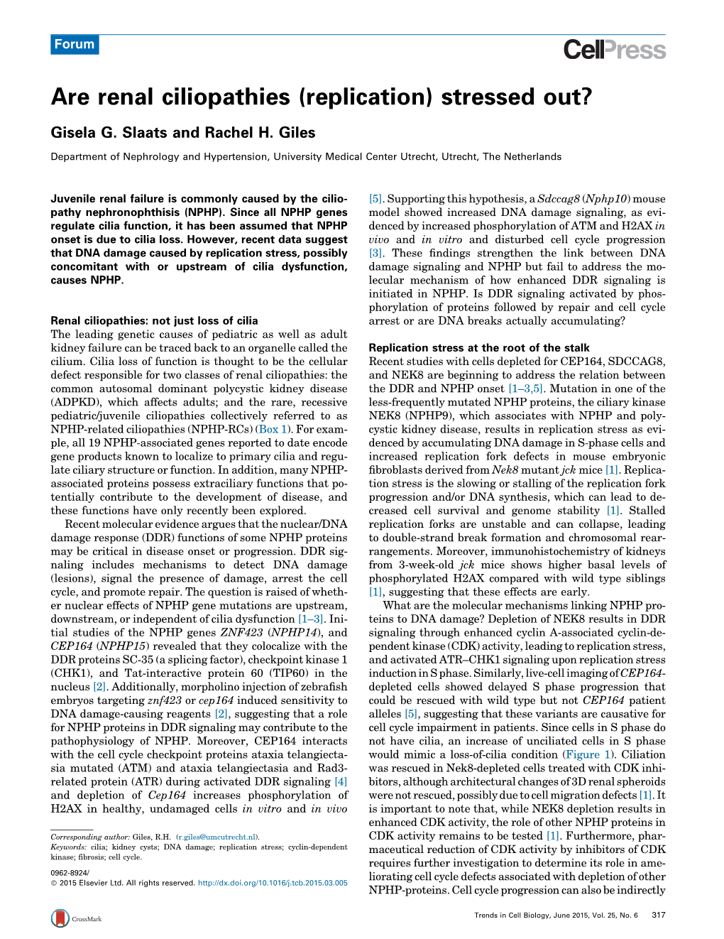 Are Renal Ciliopathies (Replication) Stressed Out?