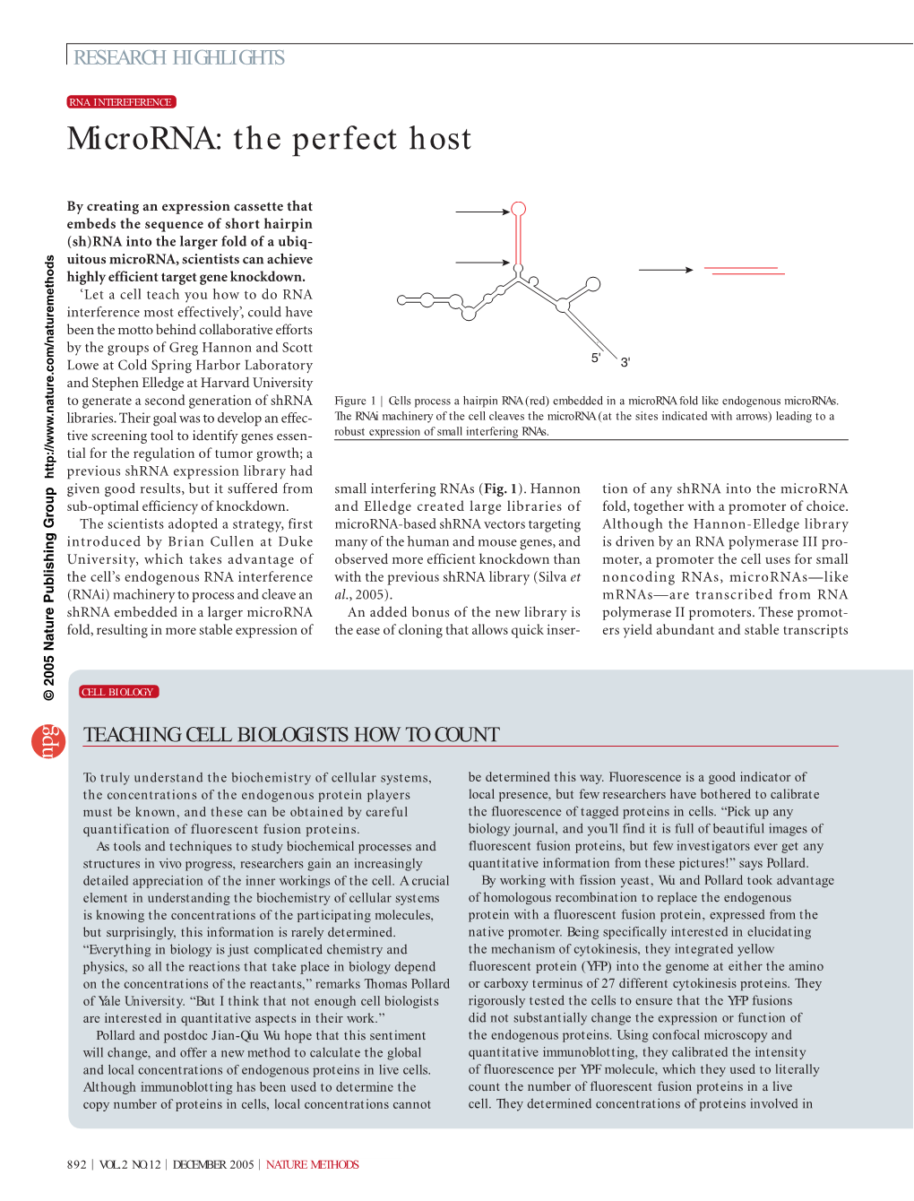 Microrna: the Perfect Host