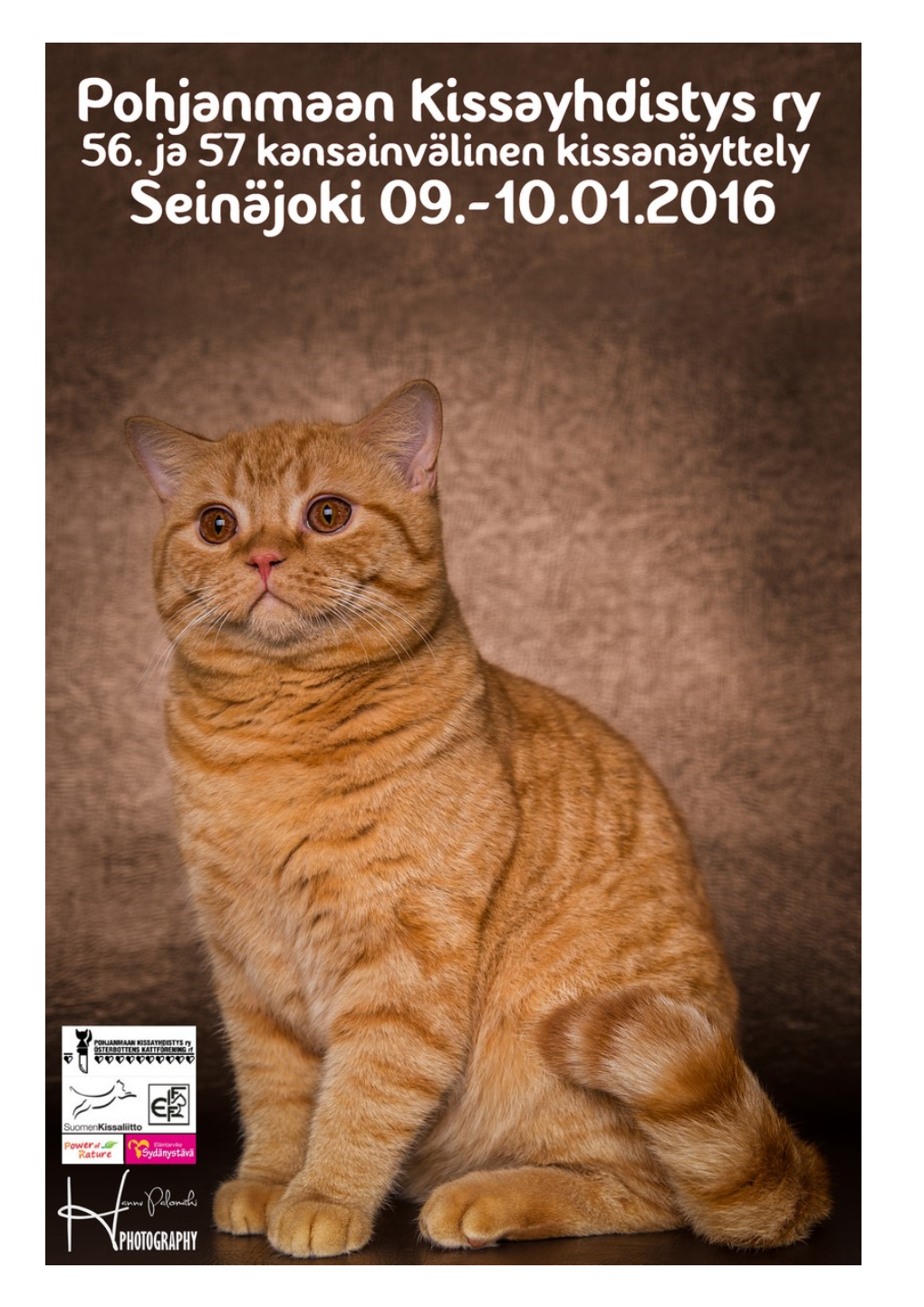 POH-KIS 56-57. Kansainvälinen Kissanäyttely 09-.10.01.2016