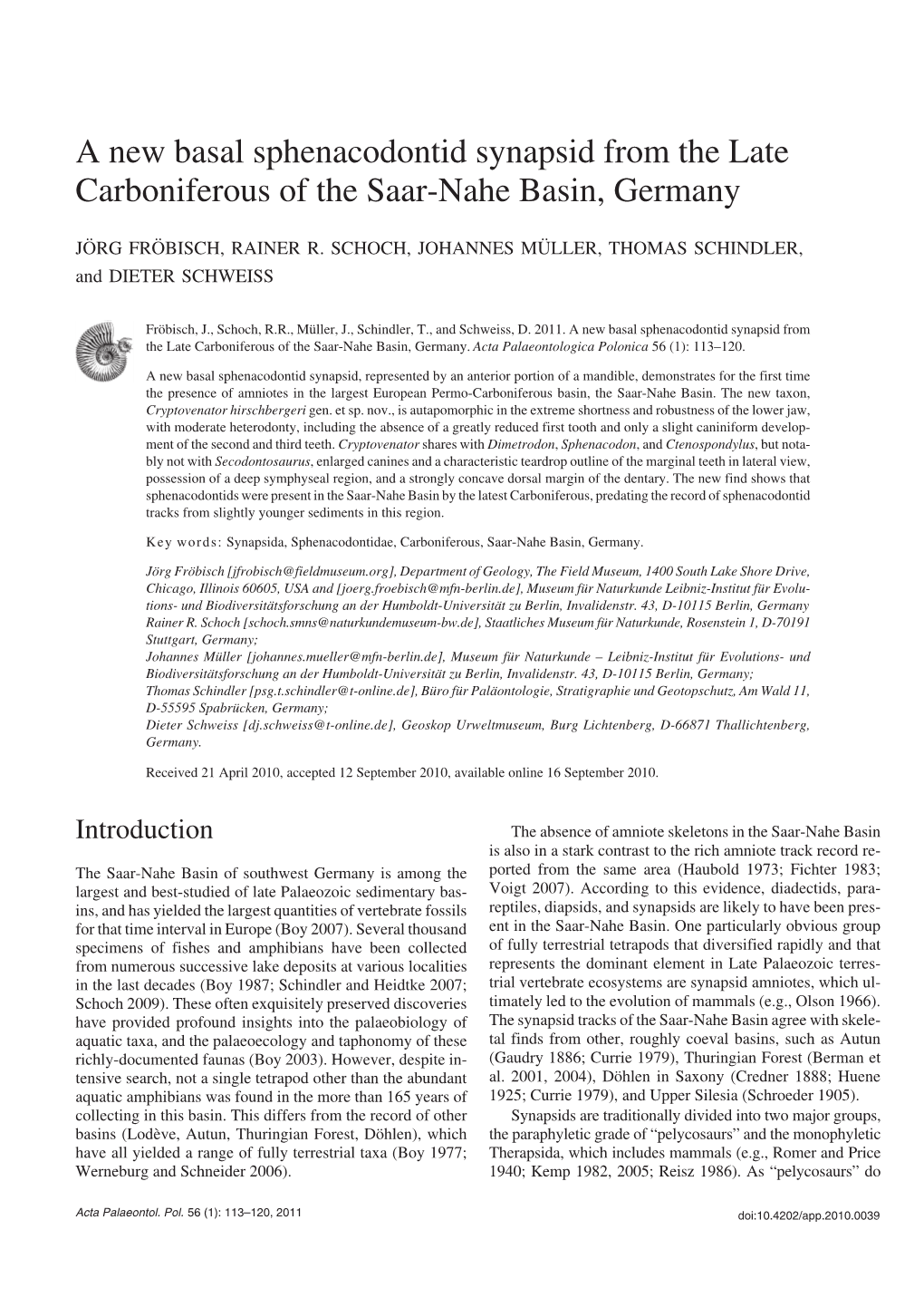 A New Basal Sphenacodontid Synapsid from the Late Carboniferous of the Saar−Nahe Basin, Germany