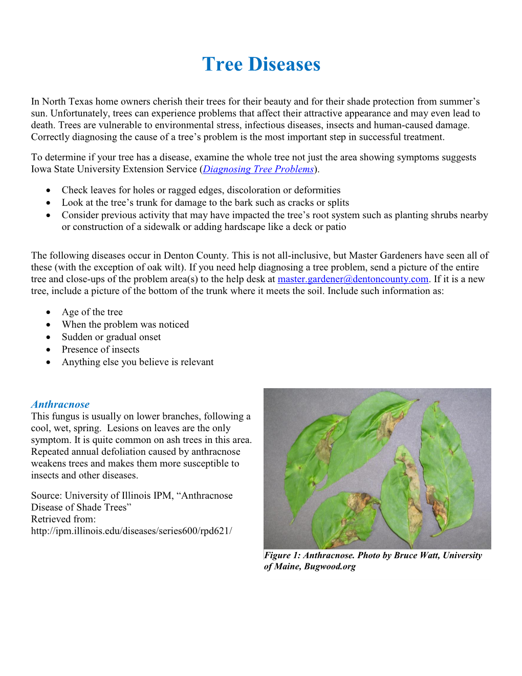 Tree Diseases