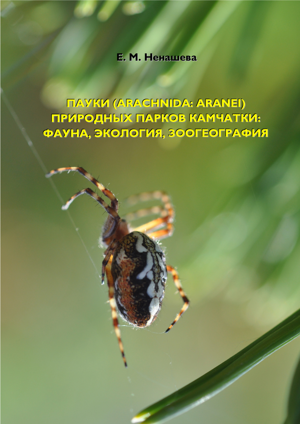 Пауки (Arachnida: Aranei) Природных Парков Камчатки: Фауна, Экология, Зоогеография