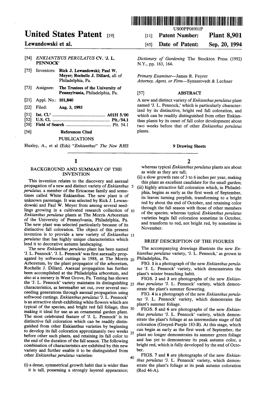 United States Patent (19) 11 Patent Number: Plant 8,901 Lewandowski Et Al