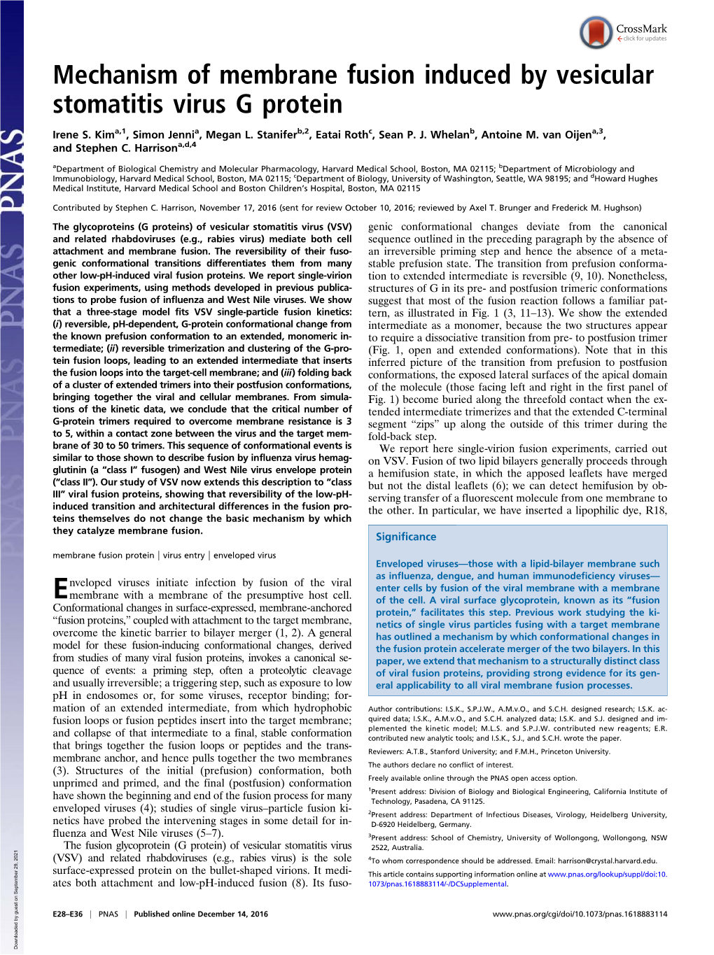 Mechanism of Membrane Fusion Induced by Vesicular Stomatitis Virus G Protein