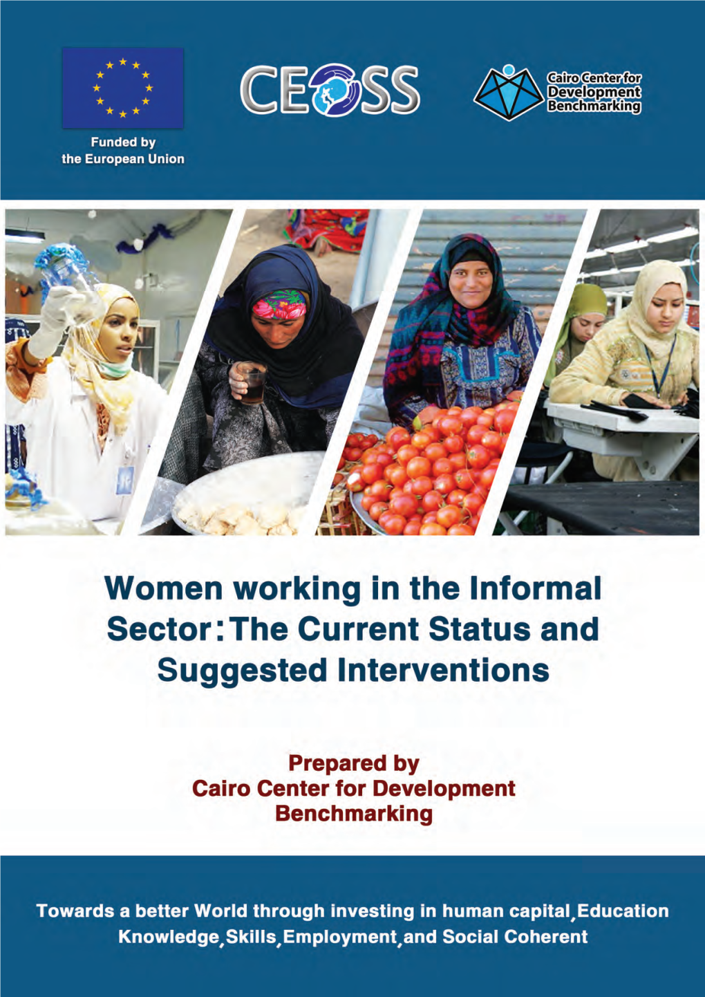 19 Chapter One the Informal Sector in Egypt and the World