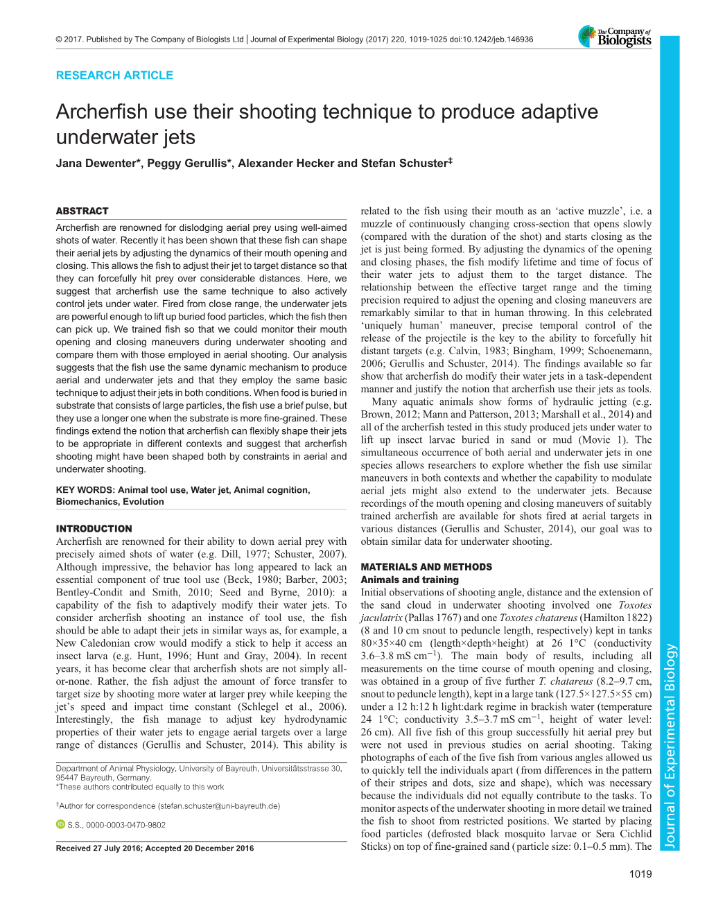 Archerfish Use Their Shooting Technique to Produce Adaptive Underwater Jets Jana Dewenter*, Peggy Gerullis*, Alexander Hecker and Stefan Schuster‡