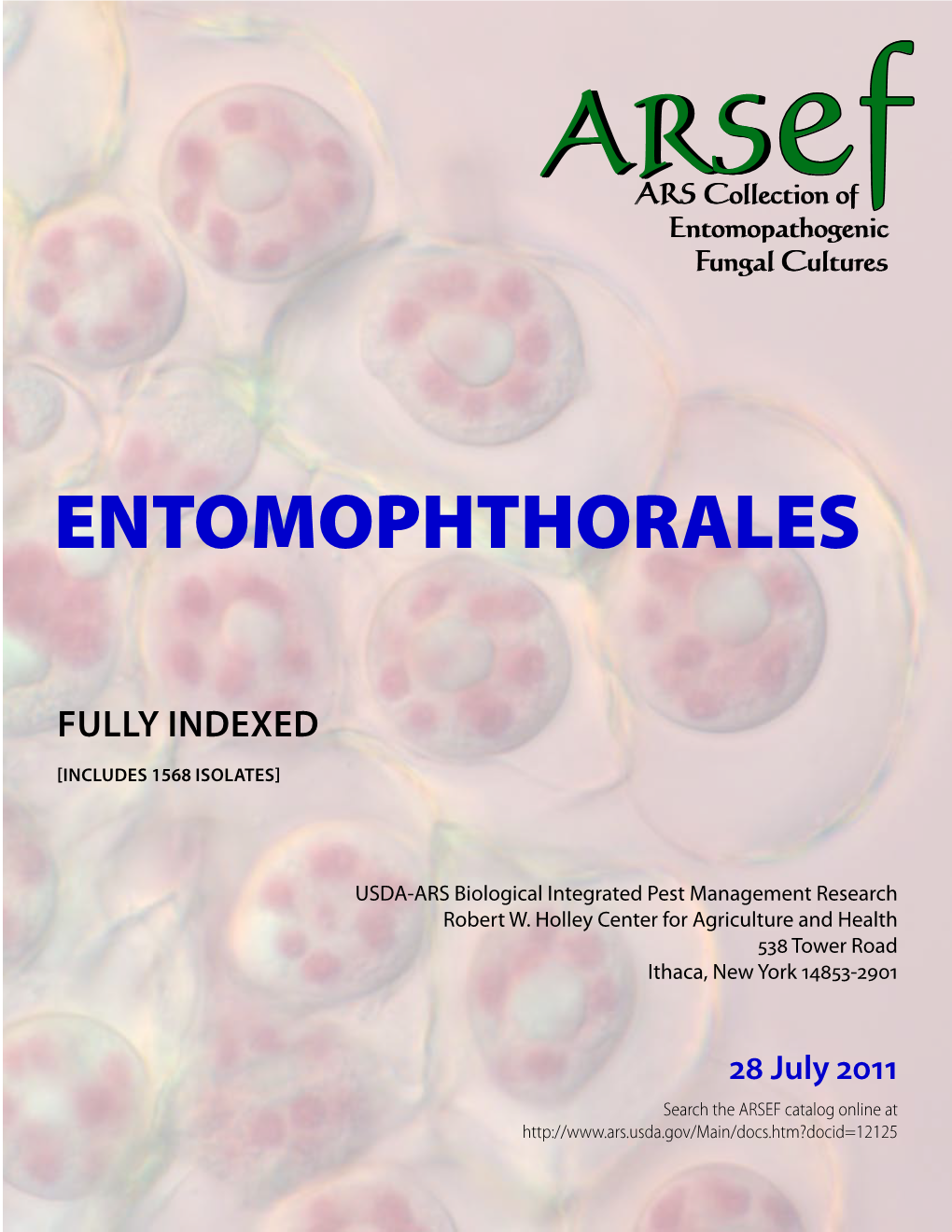 Entomophthorales