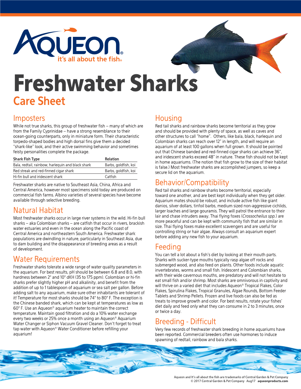 Freshwater Sharks