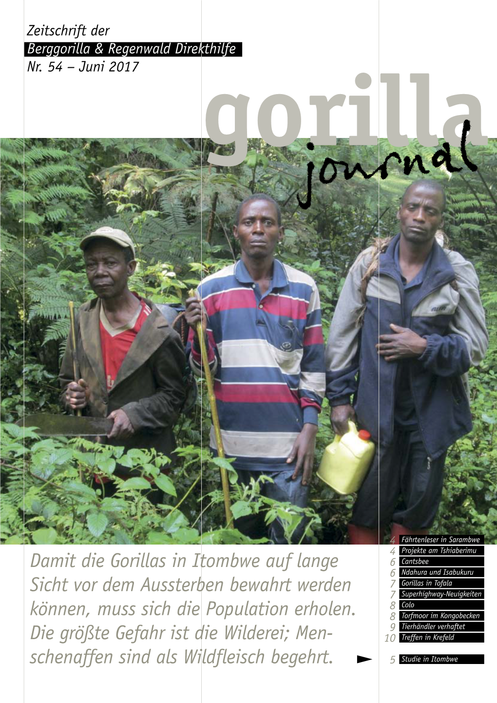 Damit Die Gorillas in Itombwe Auf Lange Sicht Vor Dem Aussterben