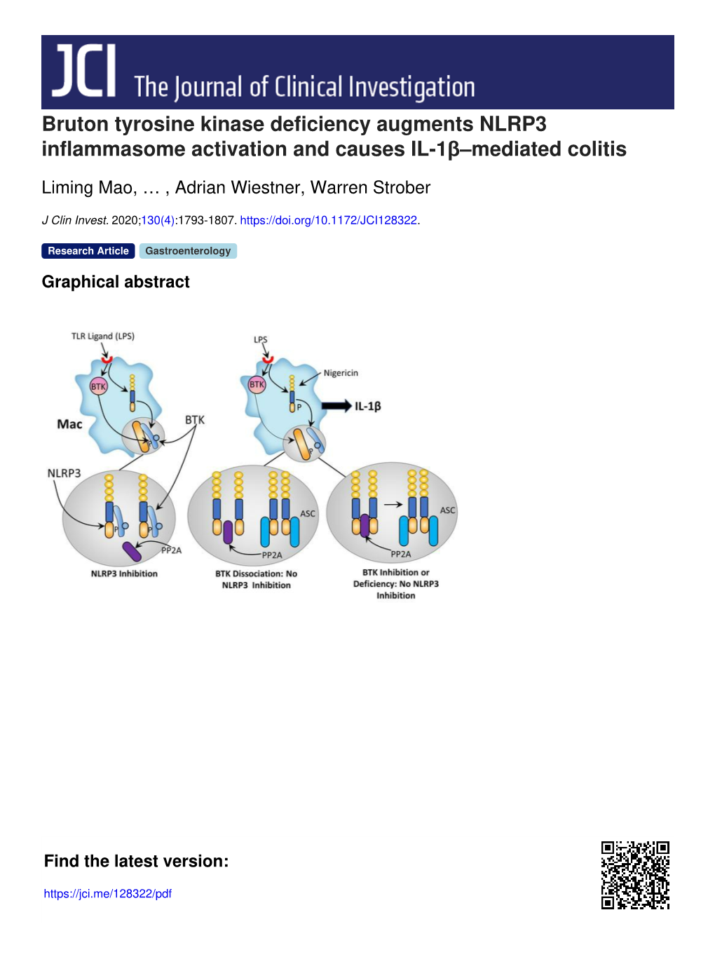 Bruton Tyrosine Kinase Deficiency Augments NLRP3 Inflammasome Activation and Causes IL-1Β–Mediated Colitis
