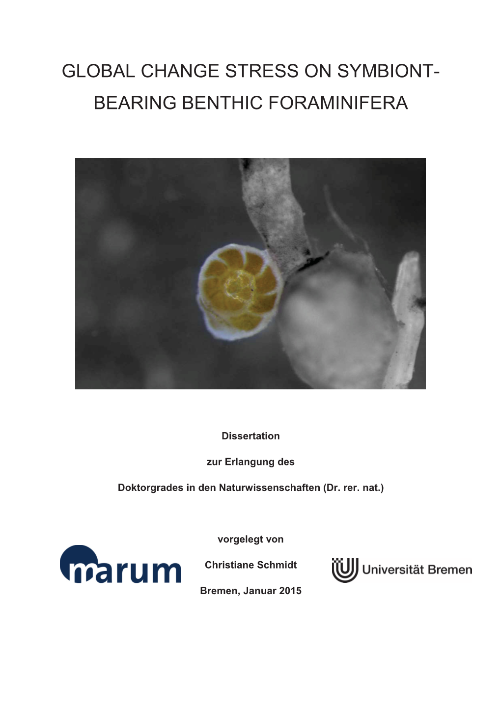 Global Change Stress on Symbiont- Bearing Benthic Foraminifera