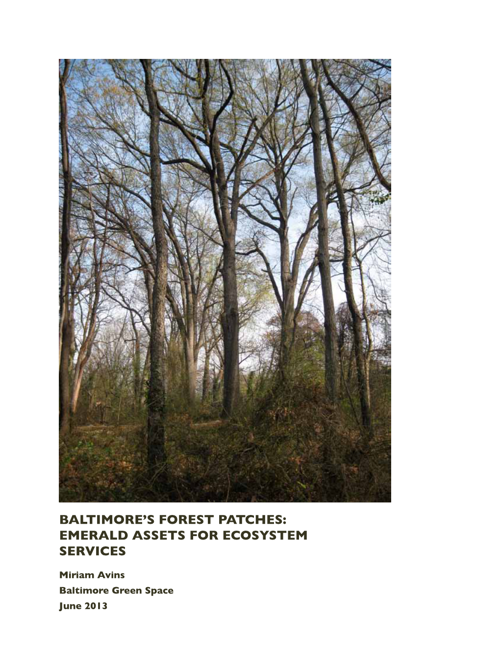 Baltimore's Forest Patches: Emerald Assets for Ecosystem Services