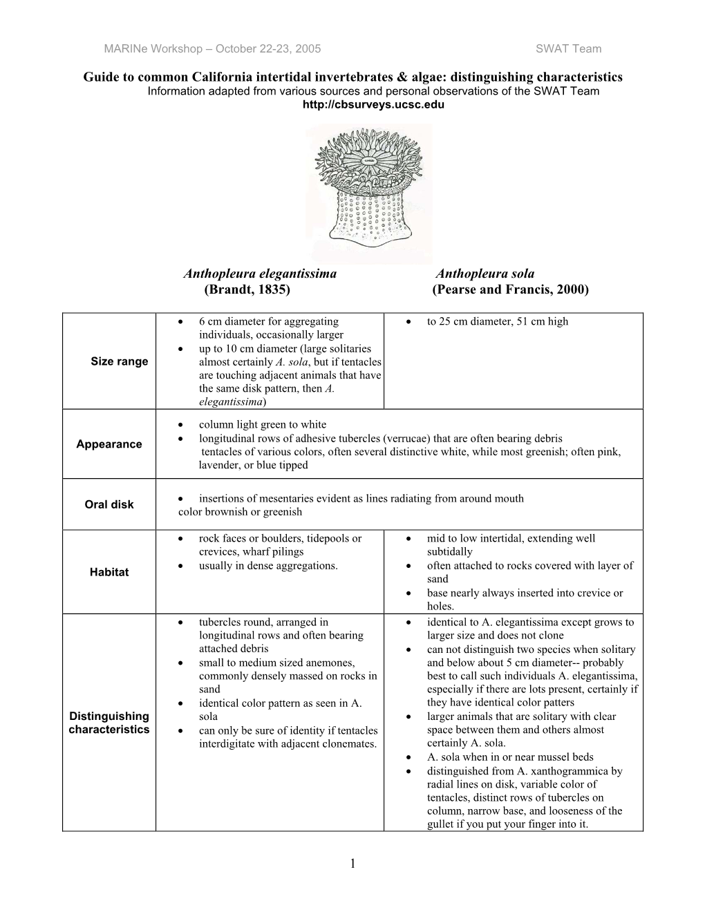 1 Guide to Common California Intertidal Invertebrates & Algae