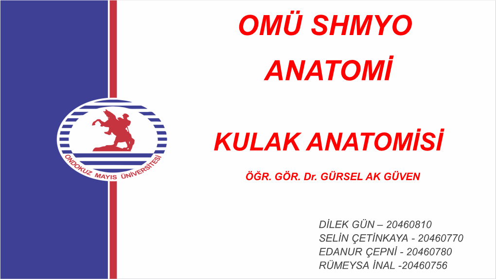 KULAK ANATOMİSİ.Pdf