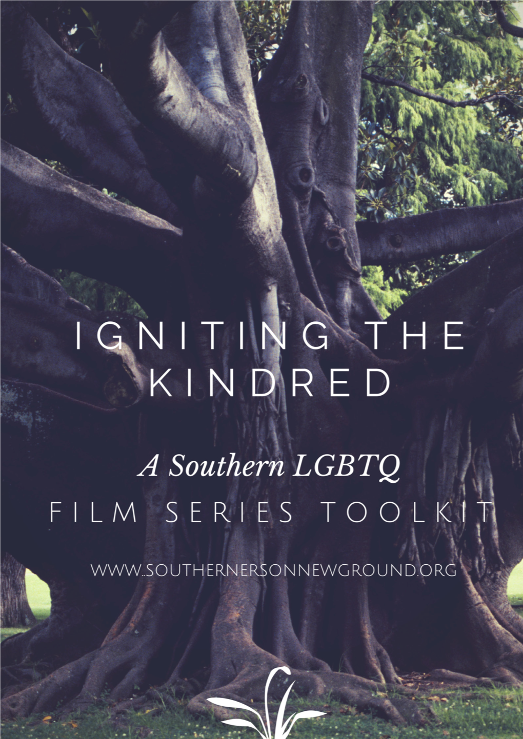 A SONG Film Series Toolkit