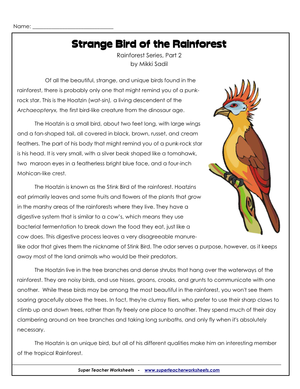 Strange Bird of the Rainforest Rainforest Series, Part 2 by Mikki Sadil