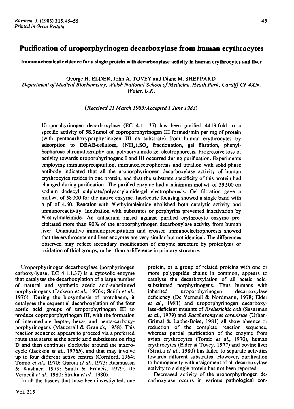 Purification of Uroporphyrinogen Decarboxylase from Human Erythrocytes