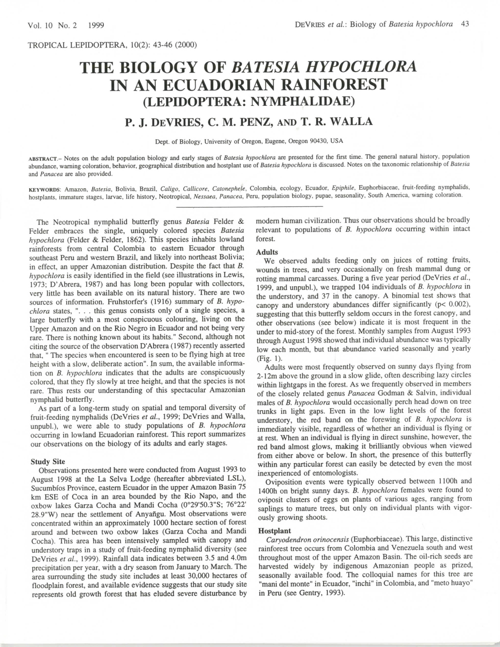 The Biology of Batesia Hypochlora in an Ecuadorian Rainforest (Lepidoptera: Nymphalidae) P