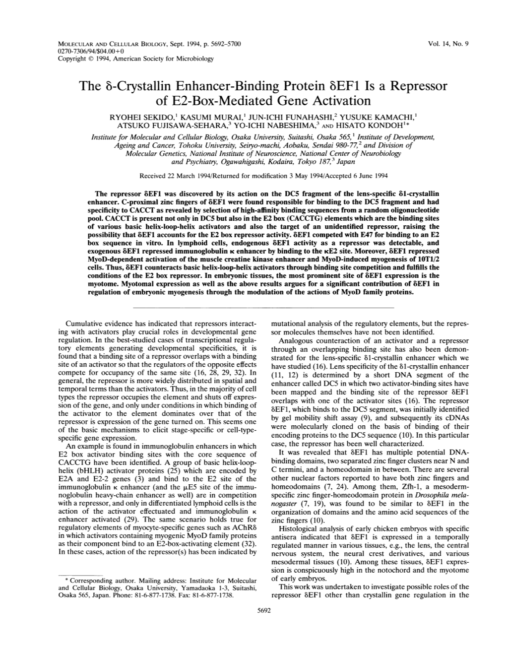 The 8-Crystallin Enhancer-Binding Protein 6EF1 Is a Repressor of E2