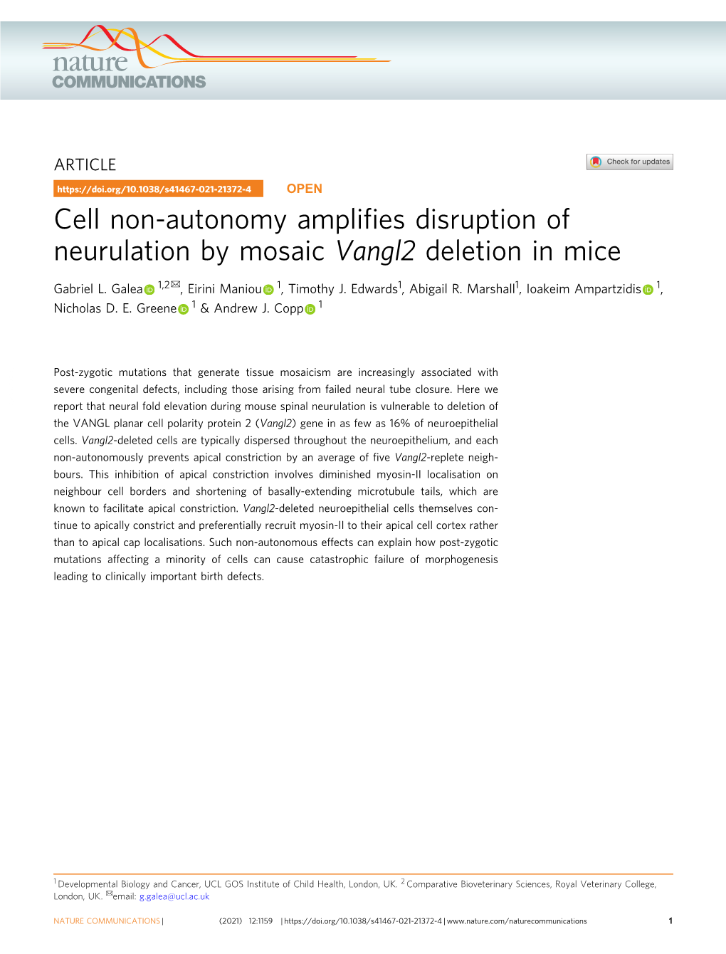 Cell Non-Autonomy Amplifies Disruption of Neurulation by Mosaic